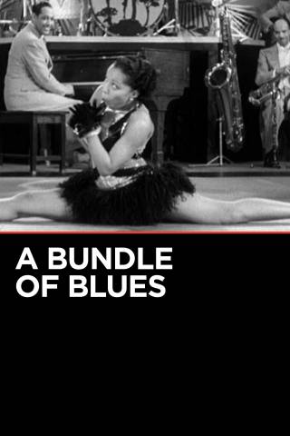 A Bundle of Blues